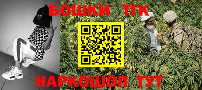 стаф Краснодар