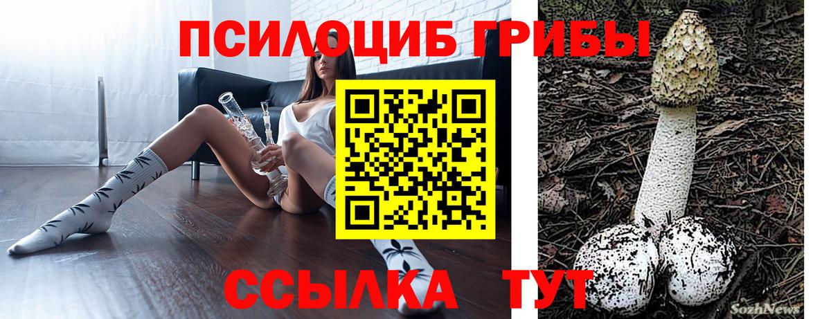 Элиста  цены наркотик  Вход с VPN  Галлюциногенные грибы MAGIC MUSHROOMS 